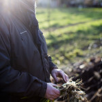 Foto: Koen Broos iov. Socius