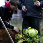 Foto: koen broos - iov. Socius