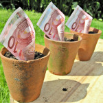 Foto: TaxRebate.org.uk - Lic. Creative Commons (https://flic.kr/p/9VE5UJ | Euro | Euros in a plant pot)